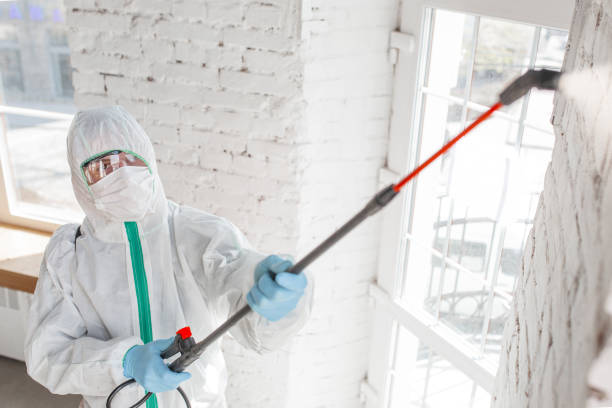Best Post-Construction Mold Inspection  in Corvallis, MT