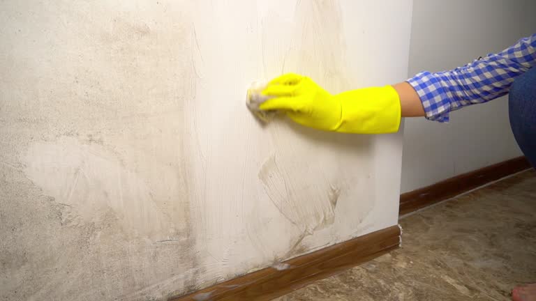 Mold Removal for HVAC Installations in Corvallis, MT