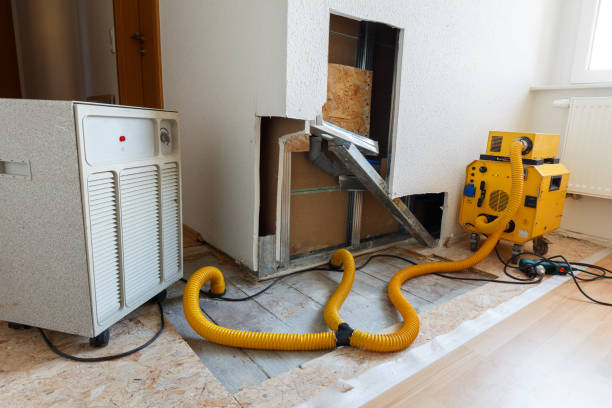 Best HVAC Mold Inspection and Cleaning  in Corvallis, MT